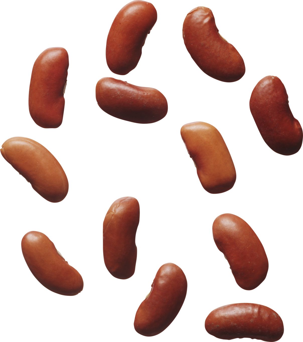 Kidney beans PNG    图片编号:56889