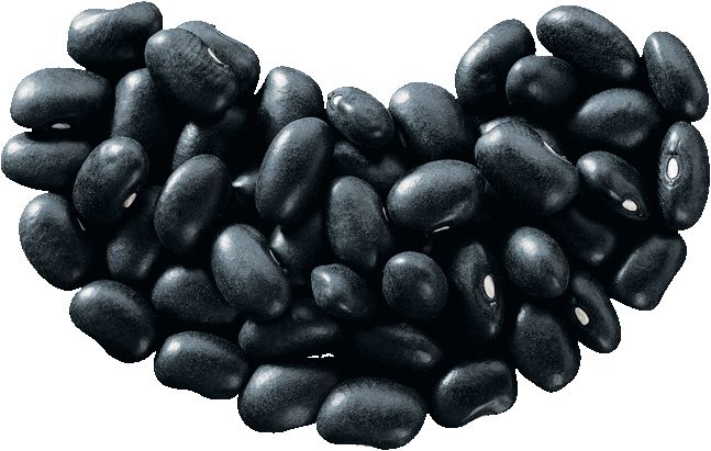 Kidney beans PNG    图片编号:56916