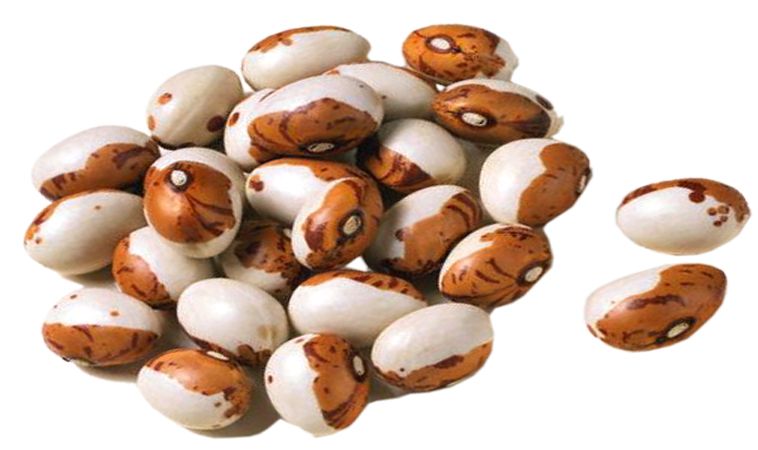 Kidney beans PNG    图片编号:56918