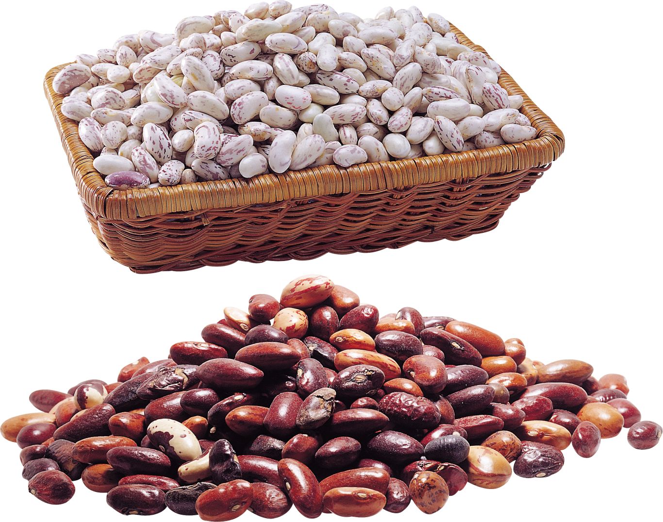 Kidney beans PNG    图片编号:56923