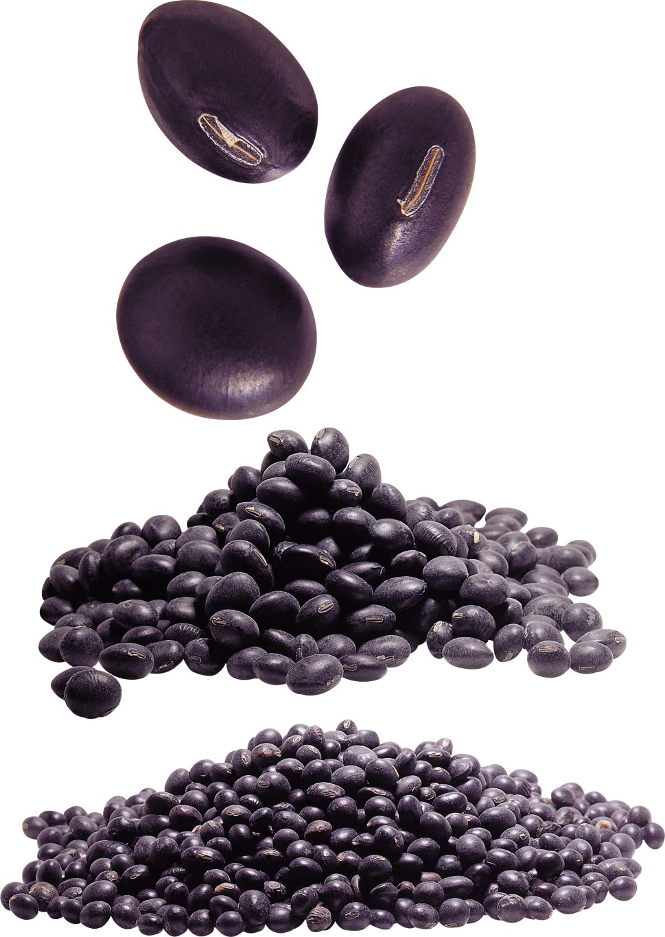 Kidney beans PNG    图片编号:56924