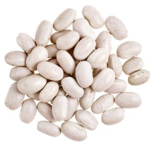 Kidney beans PNG    图片编号:56926