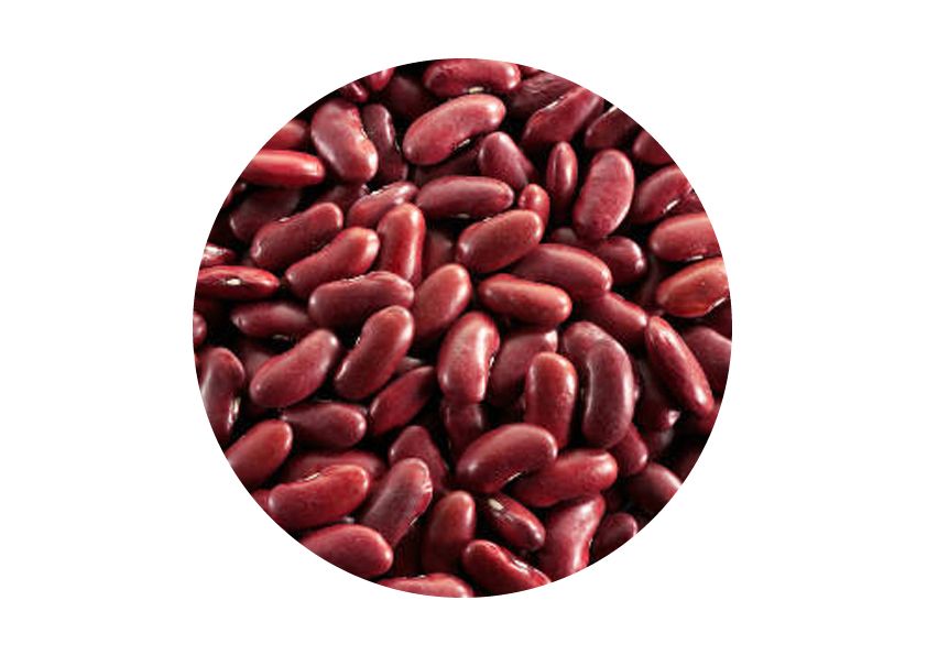 Kidney beans PNG    图片编号:56930