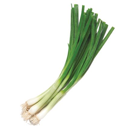 Leek PNG    图片编号:61261