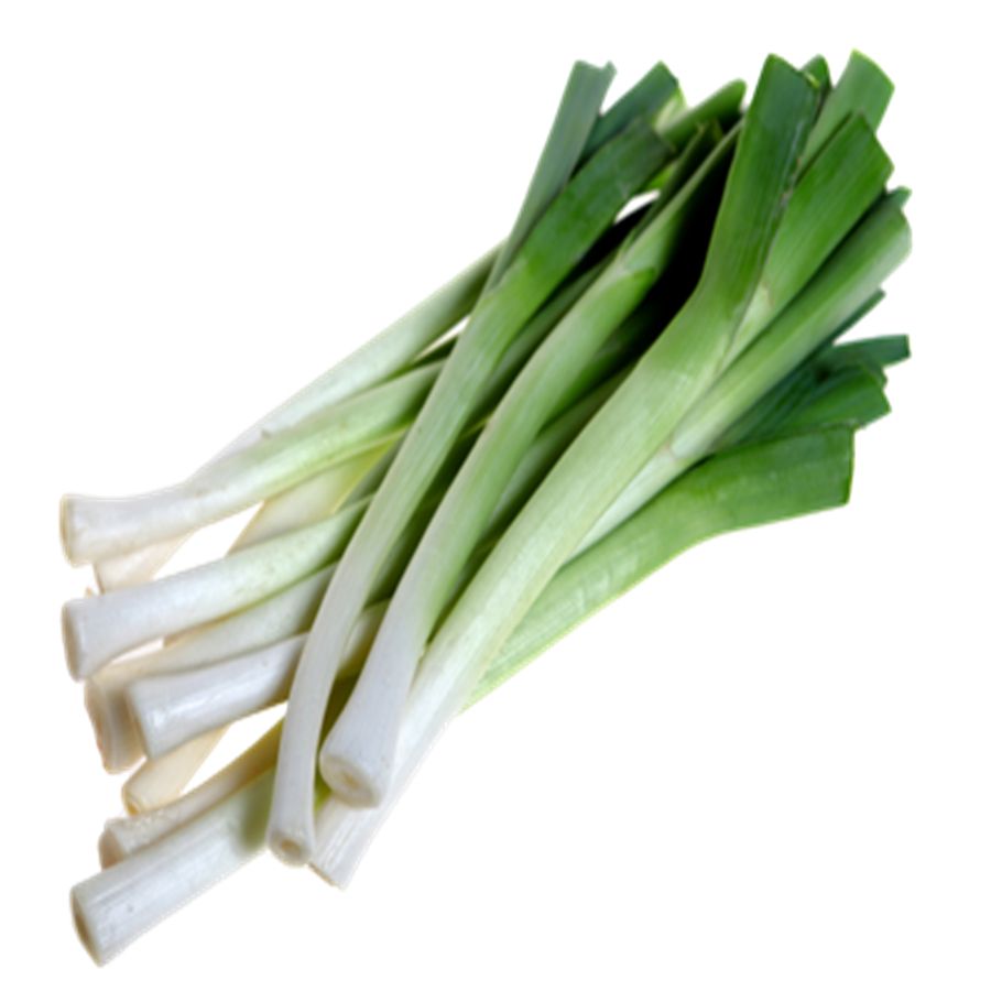 Leek PNG    图片编号:61277