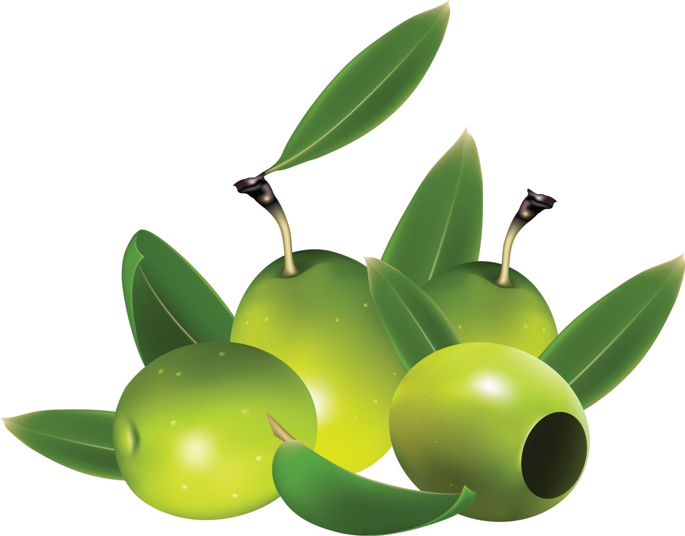 Green olives PNG    图片编号:14272