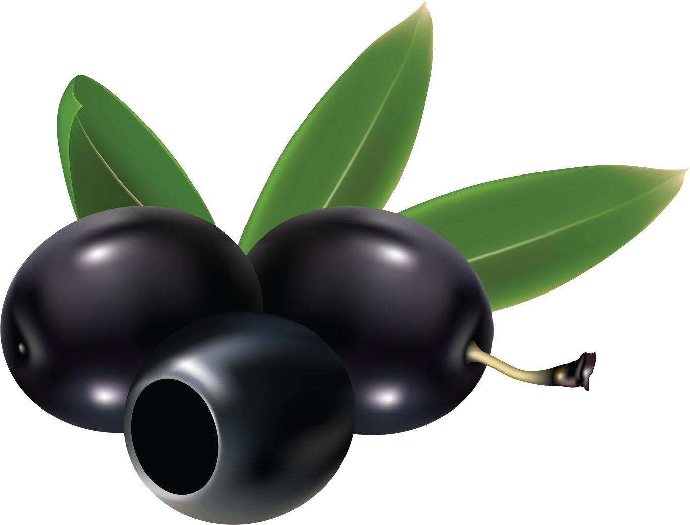 Black olives PNG    图片编号:14316