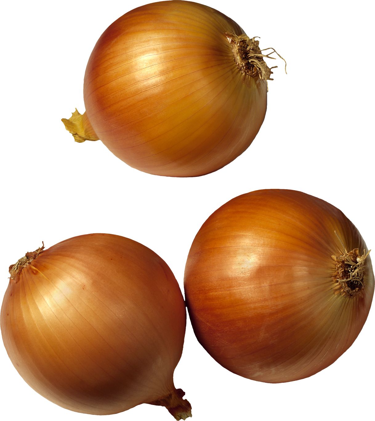 Onion PNG image    图片编号:3817