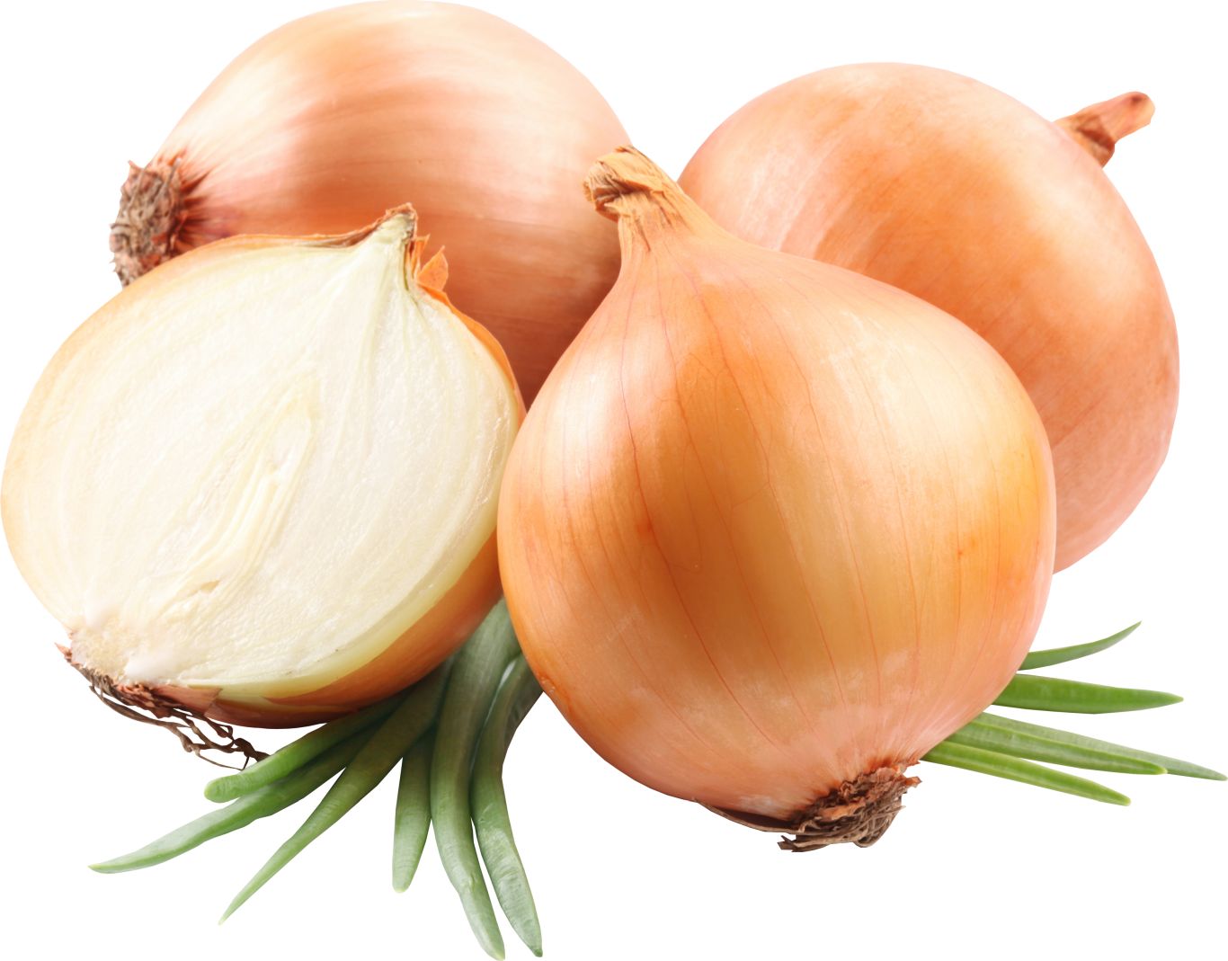 Onion PNG image    图片编号:3821