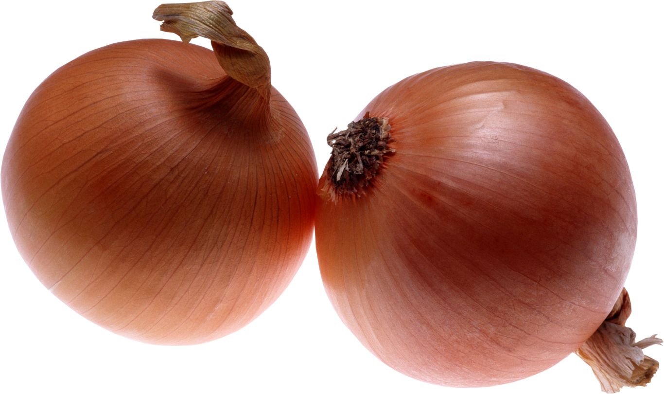 Onion PNG image    图片编号:3823