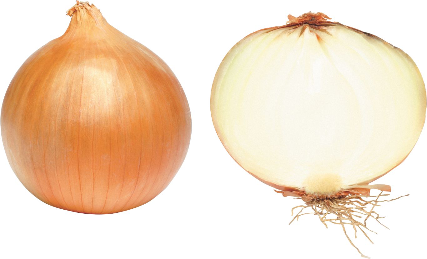 Onion PNG image    图片编号:3825