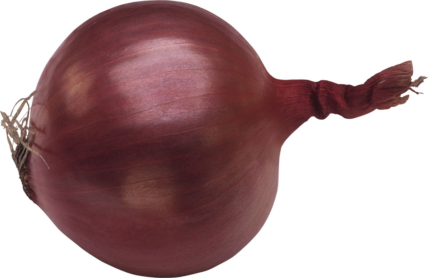 Onion PNG image    图片编号:3826