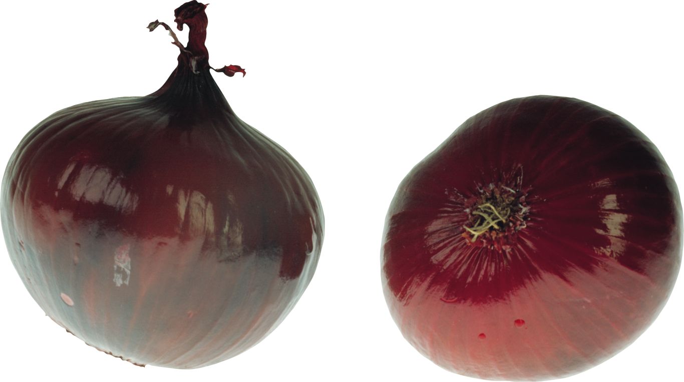 Onion PNG image    图片编号:3829