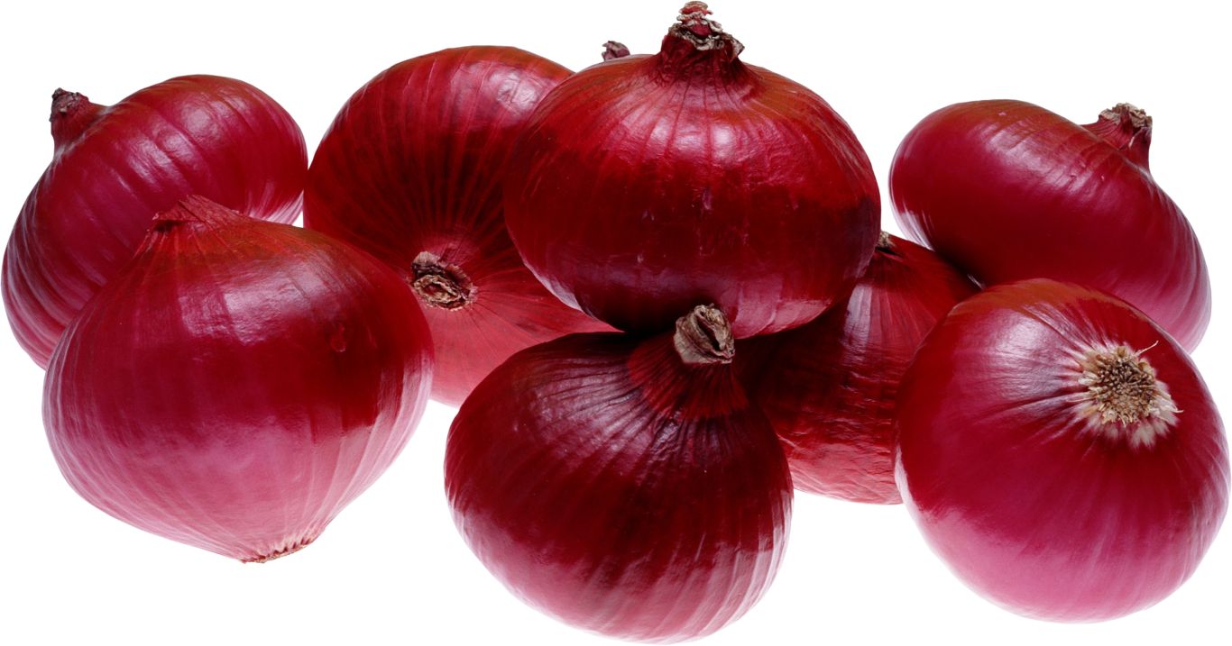 Red onion PNG image    图片编号:3831