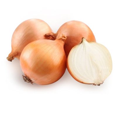 Onion PNG image, free download picture    图片编号:599