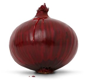 Onion PNG image, free download picture    图片编号:601