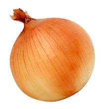 Onion PNG image, free download picture    图片编号:603