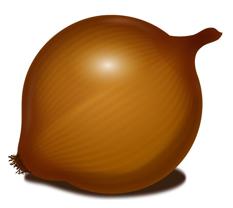 Onion PNG image, free download picture    图片编号:604