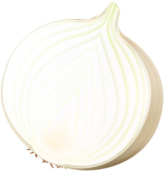 Onion PNG    图片编号:99195