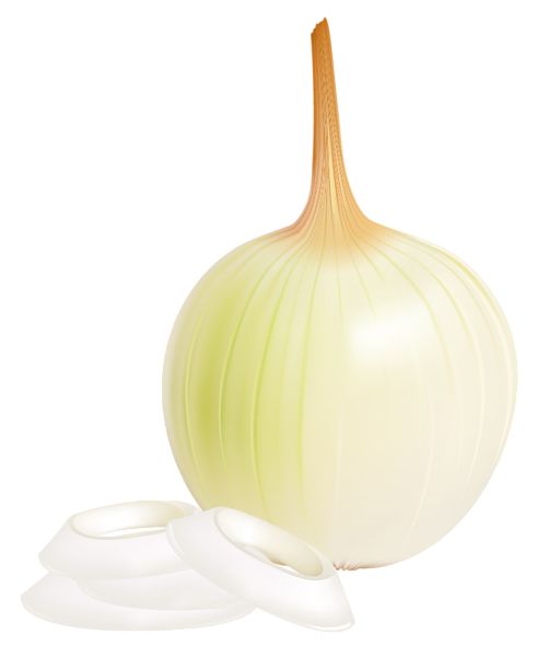 Onion PNG    图片编号:99198