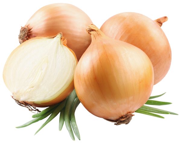 Onion PNG    图片编号:99201