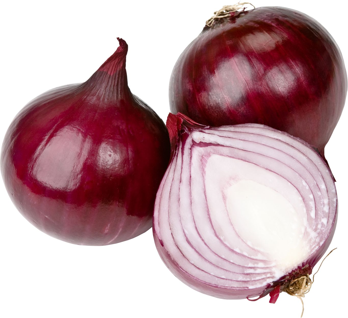 Onion PNG    图片编号:99213