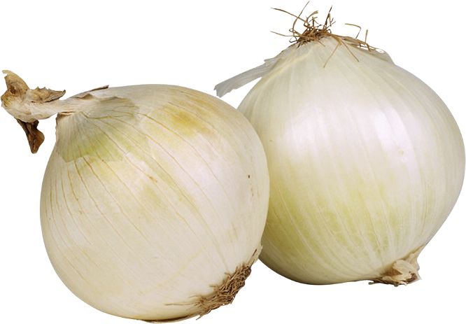 Onion PNG    图片编号:99215