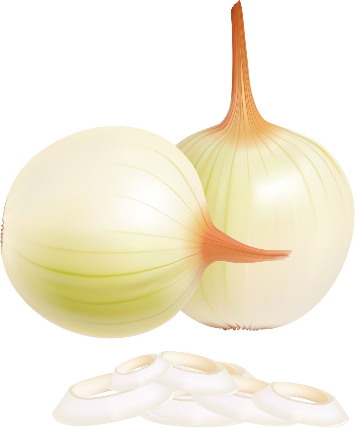 Onion PNG    图片编号:99219