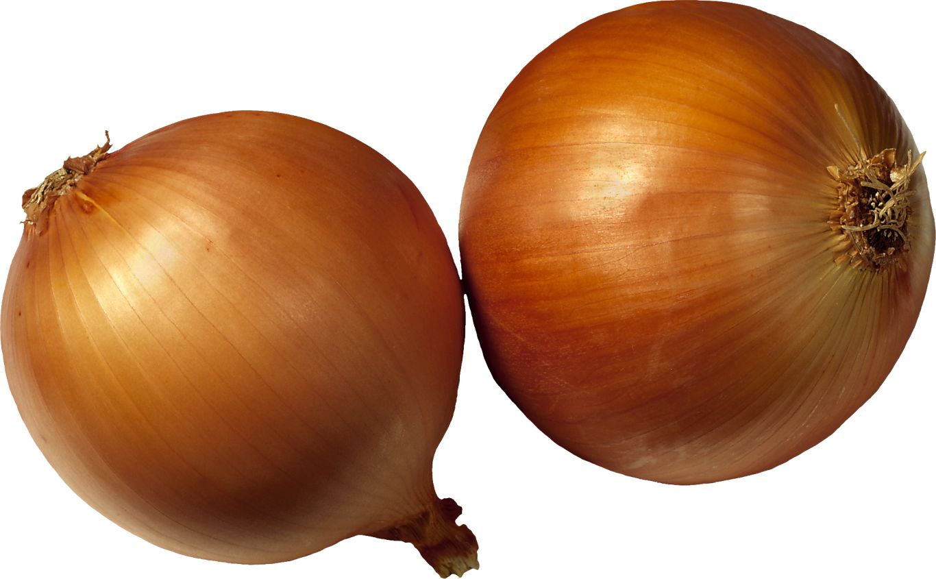 Onion PNG    图片编号:99221