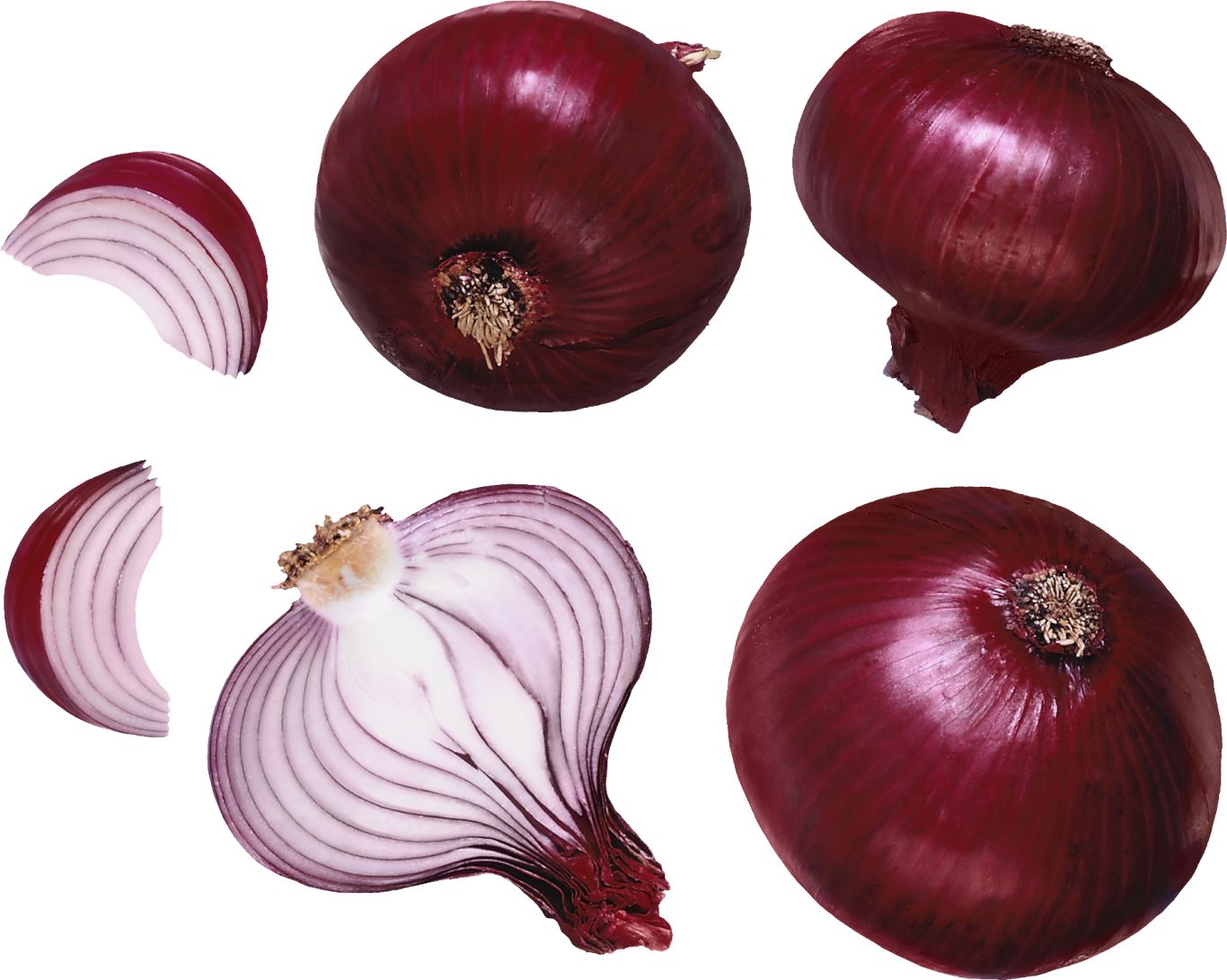 Onion PNG    图片编号:99222