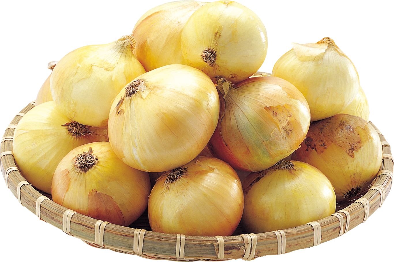Onion PNG    图片编号:99229