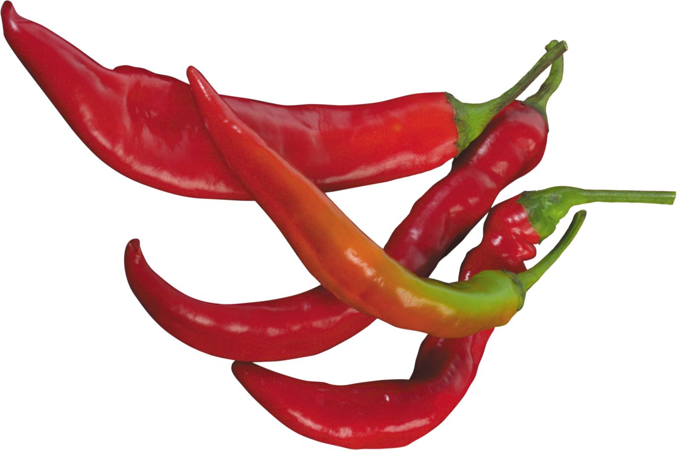 Red chili pepper PNG image    图片编号:3235