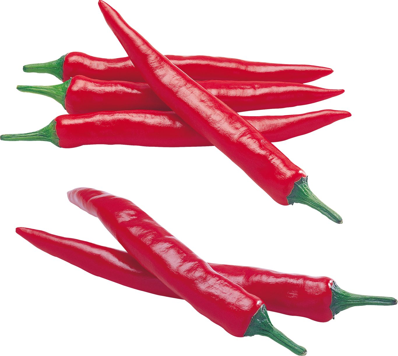 Red chili pepper PNG image    图片编号:3238