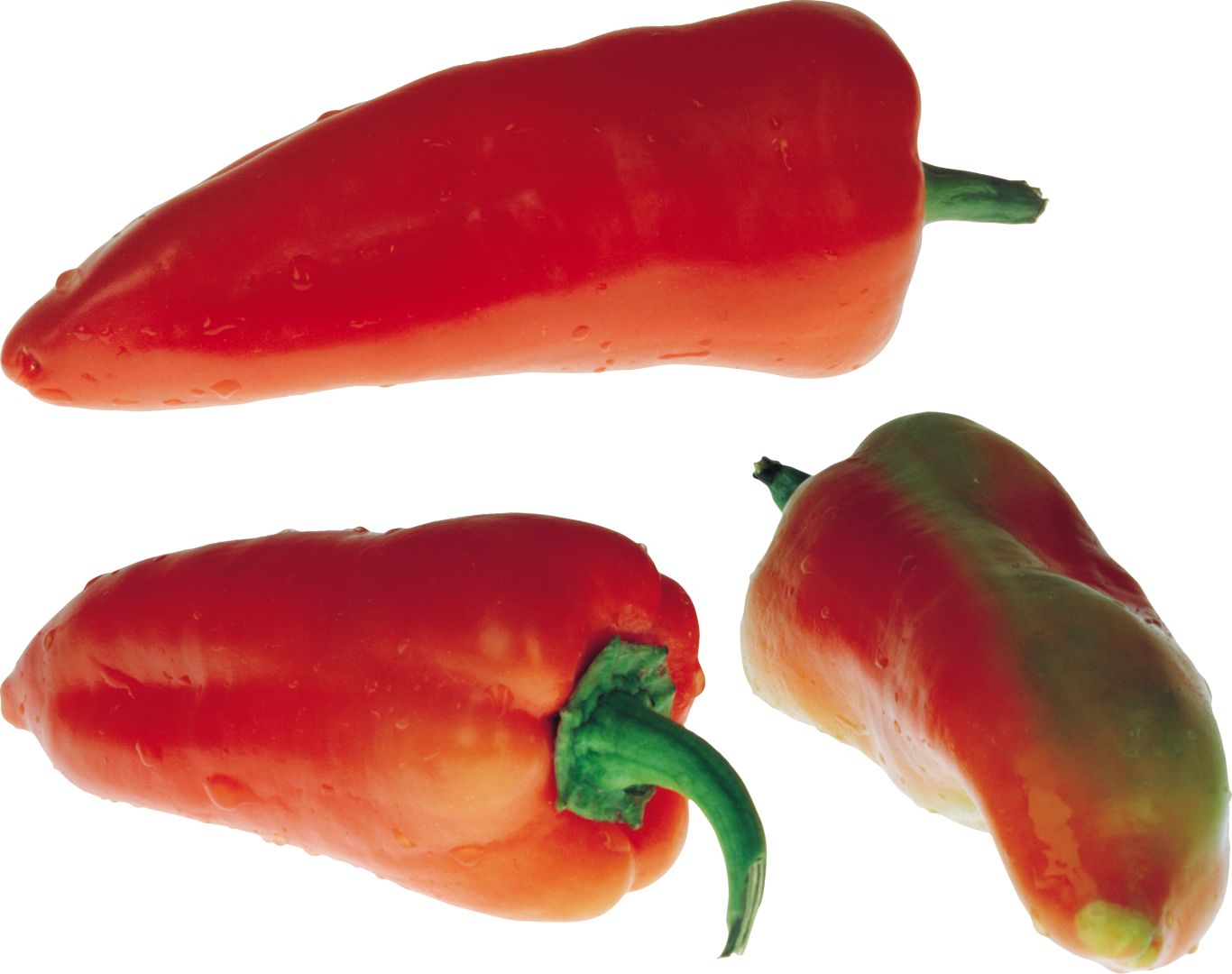 Pepper PNG image    图片编号:3244