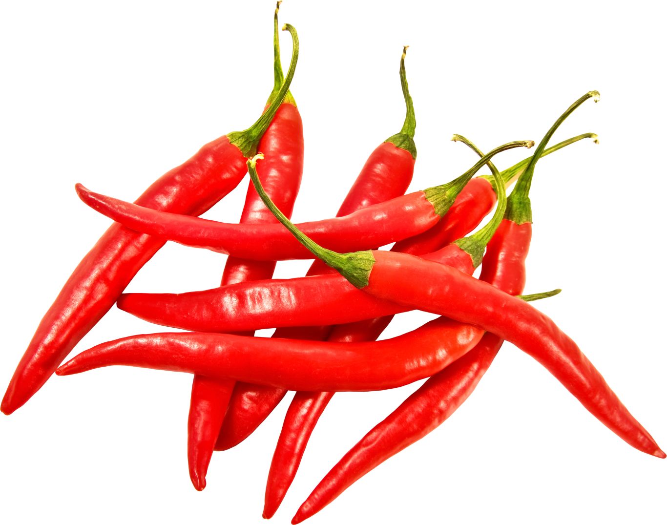 Red chili pepper PNG image    图片编号:3249