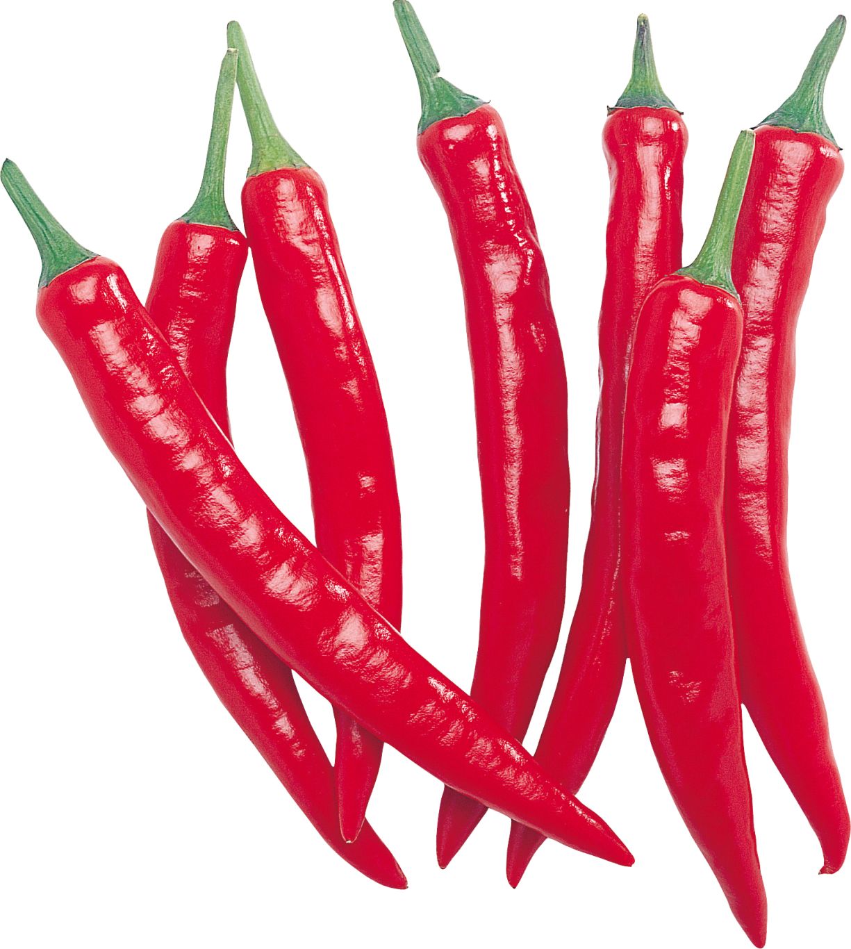 Red chili pepper PNG image    图片编号:3256