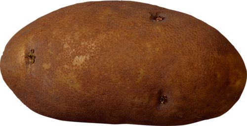 Potato PNG images    图片编号:2054