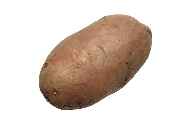 Potato PNG images    图片编号:2056