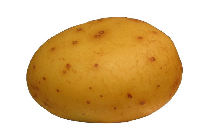 Potato PNG image    图片编号:421