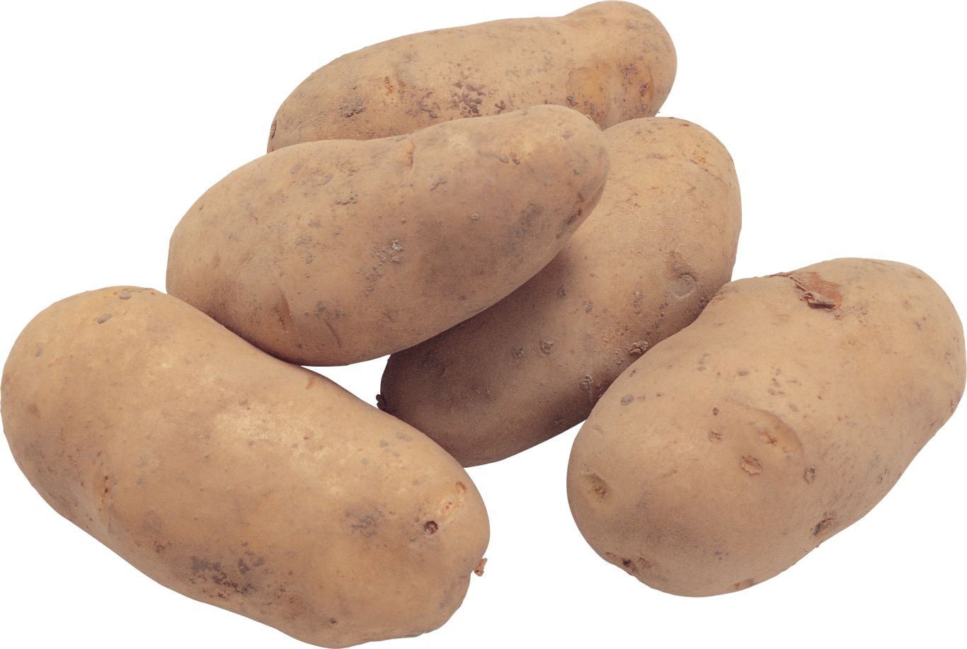 Potato png images, pictures, free download    图片编号:426