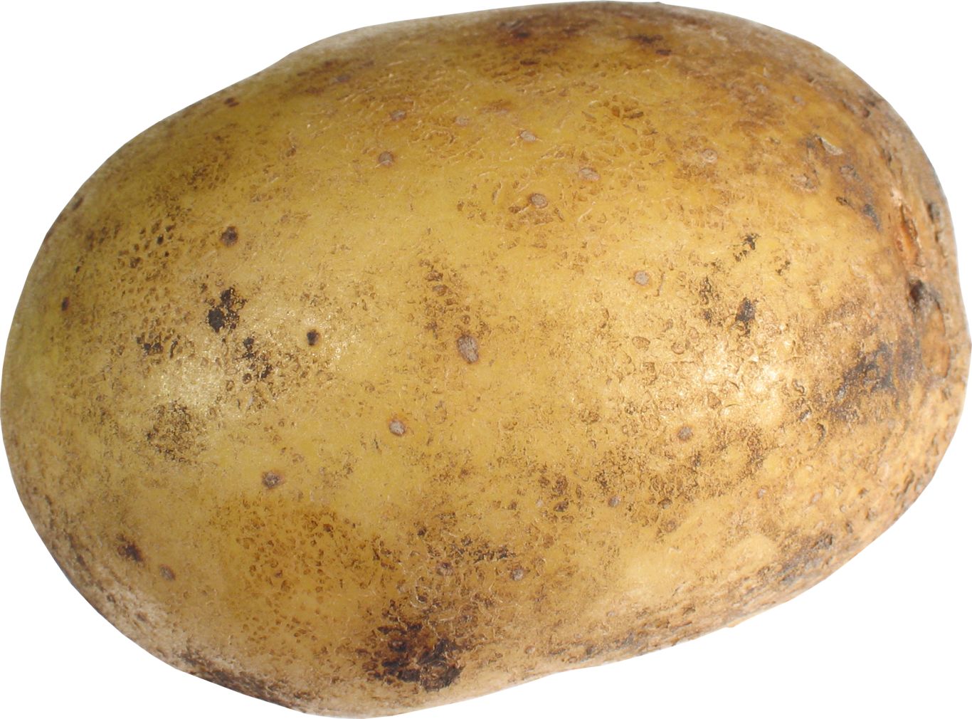 Potato png images    图片编号:7078