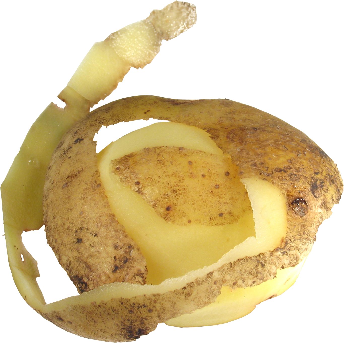 Cutted potato PNG image    图片编号:7079