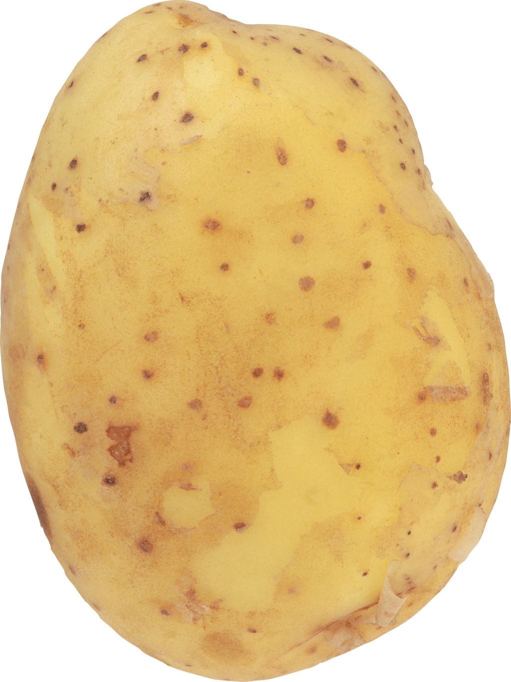Potato png images    图片编号:7080