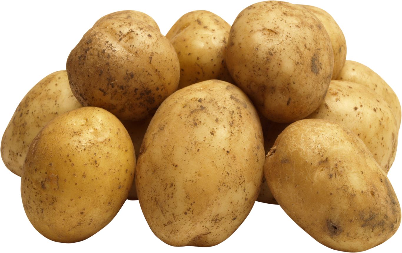 Potato png images    图片编号:7082