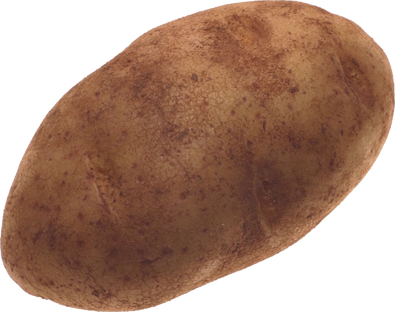 Potato png images    图片编号:7084