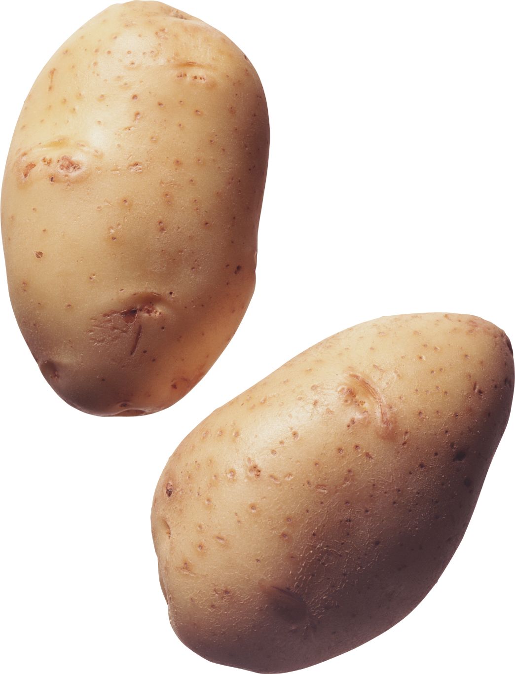Potato png images    图片编号:7086