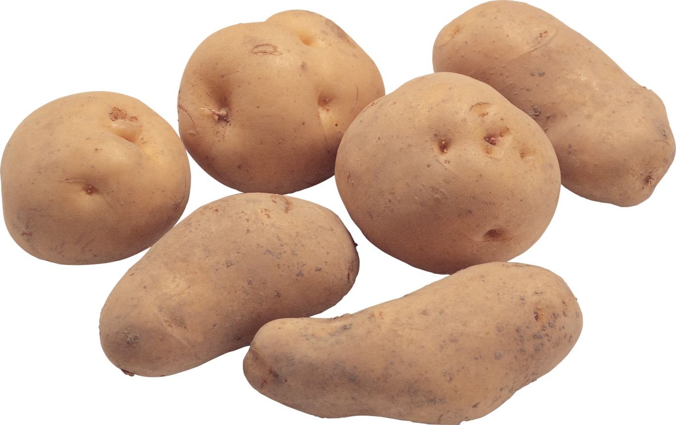 Potato png images    图片编号:7087