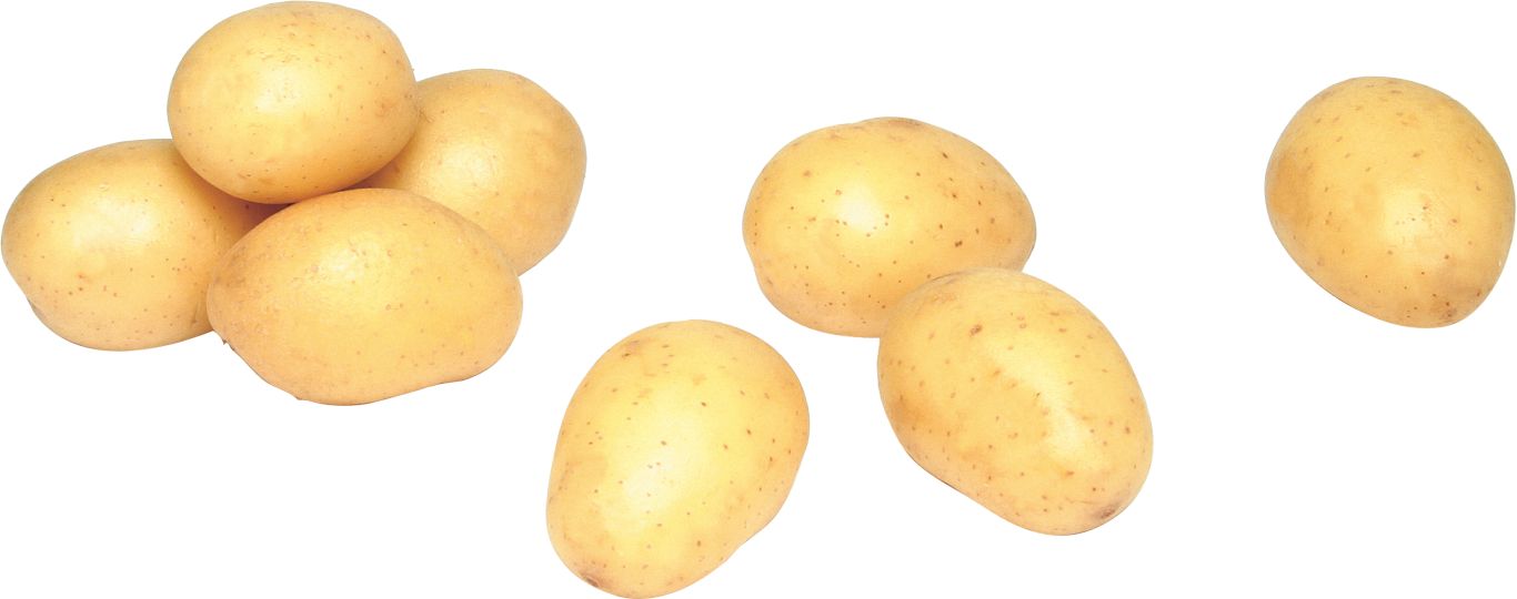 Small potatoes PNG images    图片编号:7090