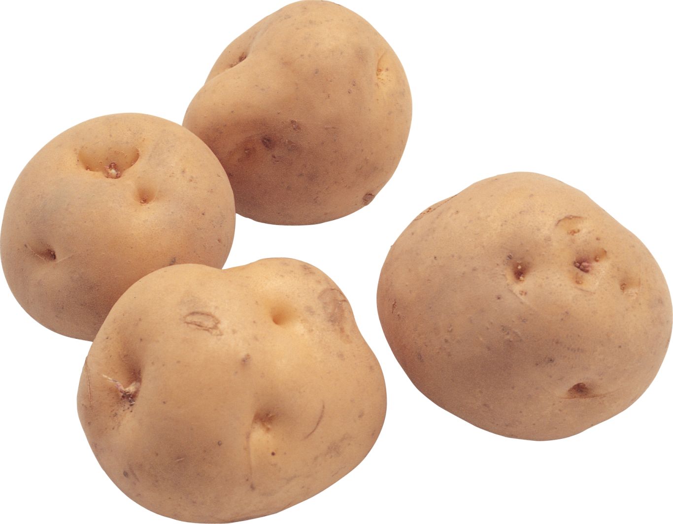 Potato png images    图片编号:7091