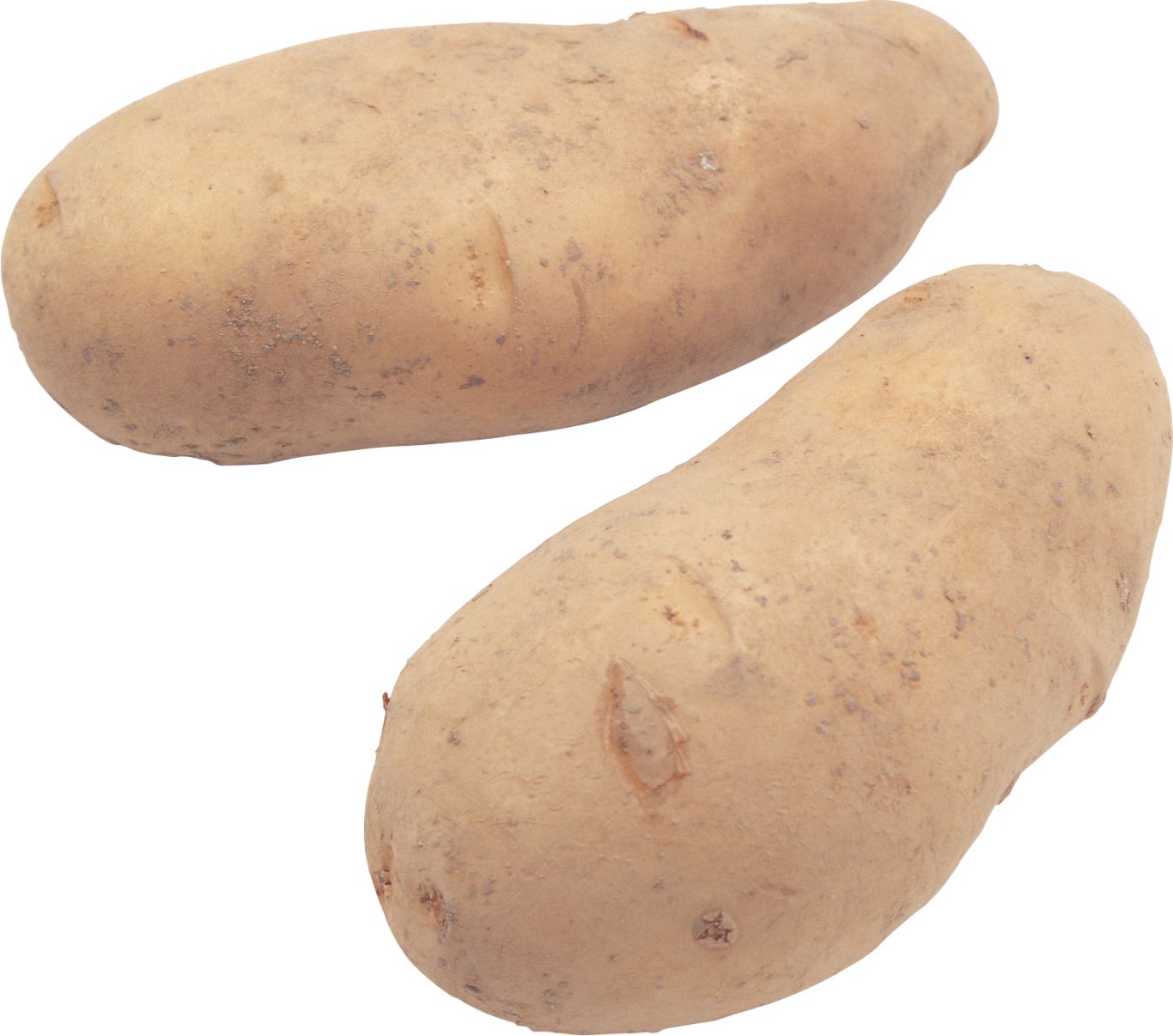Potato png images    图片编号:7092